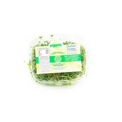 RAW EARTH BROCCOLI GREENS 100g