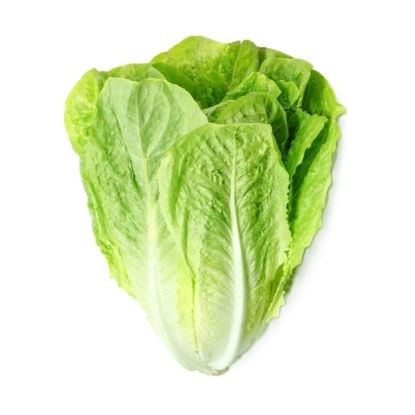 MAL ORG LETTUCE COS each